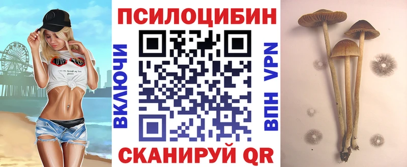 Купить закладки  Бавлы  Псилоцибиновые грибы прущие грибы 