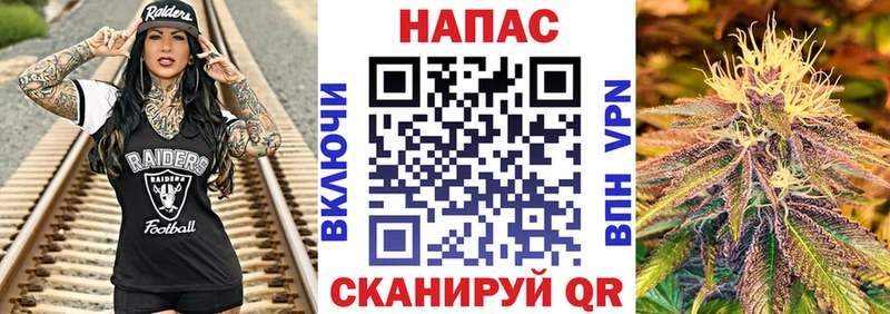 Каннабис гибрид  Купить  Бавлы 